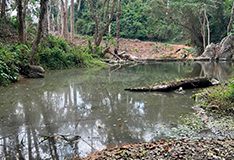 Kwanza Norte - Gulungo Alto (Coffee Tour)